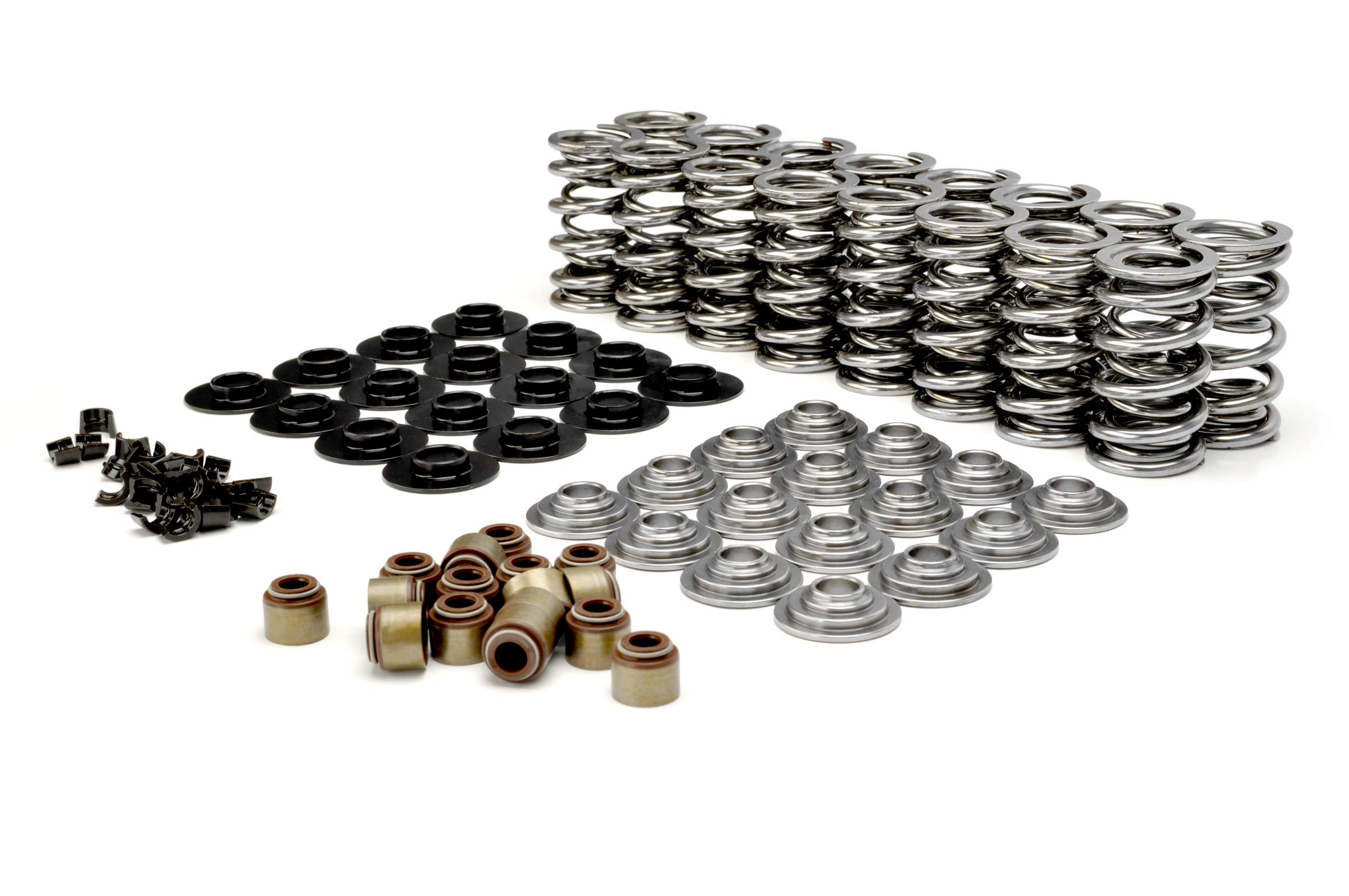 Amazon.com: Comp Cams 26925CS-KIT GM LS Dual Valve Spring Kit w